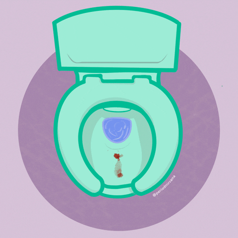 Toilet Bathroom GIF by Period Nirvana