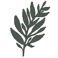 Forest Leaf Sticker