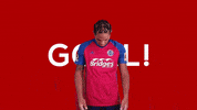 OfficialShots celebration harrison aldershottown panayiotou GIF