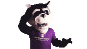 Confused Missouri Sticker by Southwest Baptist University