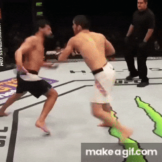 Islam Makhachev GIF