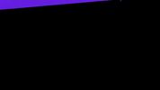 dog party GIF by Sam Jack Gilmore