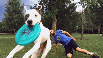 fun lol GIF by Outside TV