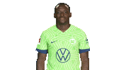Jerome Roussillon Hello Sticker by VfL Wolfsburg