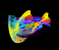 video art GIF by J. Robinson