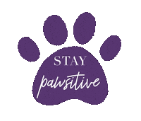 Paw Hundeliebe Sticker by Purple Stars