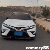 Camry GIF