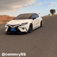 Camry GIF