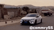 Camry GIF