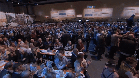 party smile GIF by CSU