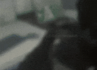 Friendly Fire GIF