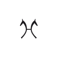 Horse Reiten Sticker by Hannoveraner Verband