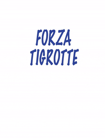 PallavoloCernusco  GIF
