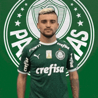 Palmeiras soccer eye futebol palmeiras GIF
