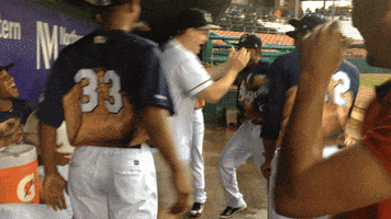 minor league baseball GIF by Kane County Cougars