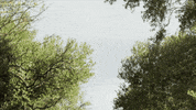not2bad GIF by EchoBoom Sports