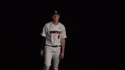 University Of Louisville Baseball GIF by Louisville Cardinals