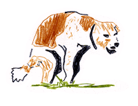 panchoballard dog silly shy shitting Sticker