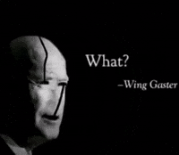 Joe Biden What GIF