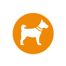 SierraOfficial giphygifmaker dog puppy sierra Sticker