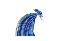 Ambulante2025 Sticker by Casiopea