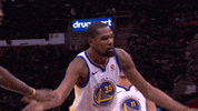 golden state warriors kevin GIF by NBA