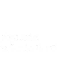 Space Marca Registrada Sticker by Veryvany