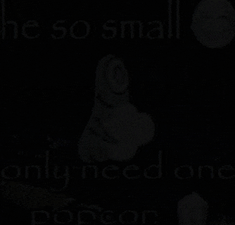 Spongebob Plankton GIF