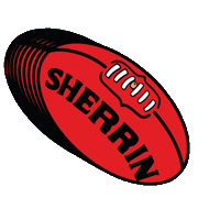 Aussie Rules Football Sticker by Essendon FC