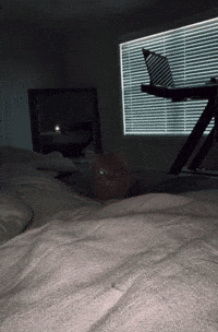 Instagram Jumping GIF