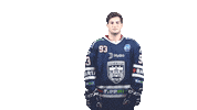 Ice Hockey Sticker by Fehervar AV19