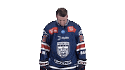 Hockey Atkinson Sticker by Fehervar AV19