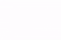bombaysweetshop sweet indie incredible coconut GIF