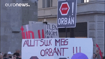 hungary demonstration GIF by euronews