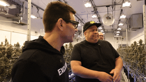 Chocolate Grow GIF by Exclusive Brands