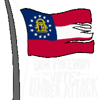 Voting Rights Flag Sticker by Creative Courage