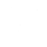 Logo Design Sticker by Graphista Creative Studio