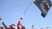 Happy College Football GIF by FAU Athletics