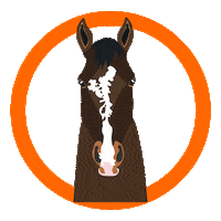 Horse Sticker by Ohlala sellerie