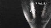 Drinks Alcohol GIF by Croxsons