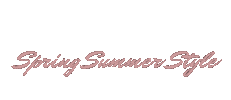 Fashion Logo Sticker by Spring Summer Style