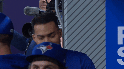 Blue Jays Smile GIF by Toronto Blue Jays