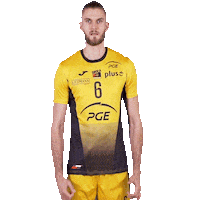 Happy Volleyball Sticker by PGE Skra Bełchatów