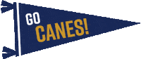 Americus Ga Storm Sticker by Georgia Southwestern State University