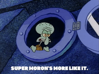 season 1 GIF by SpongeBob SquarePants