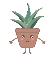 Aloe Vera Spring Sticker