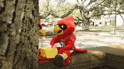 Hey You College GIF by Lamar University