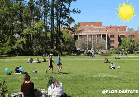 summer college GIF by Florida State University