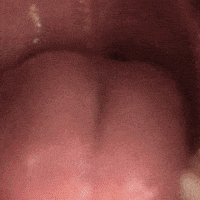 cosmo GIF by wildKitty