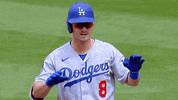Regular Season Sport GIF by MLB